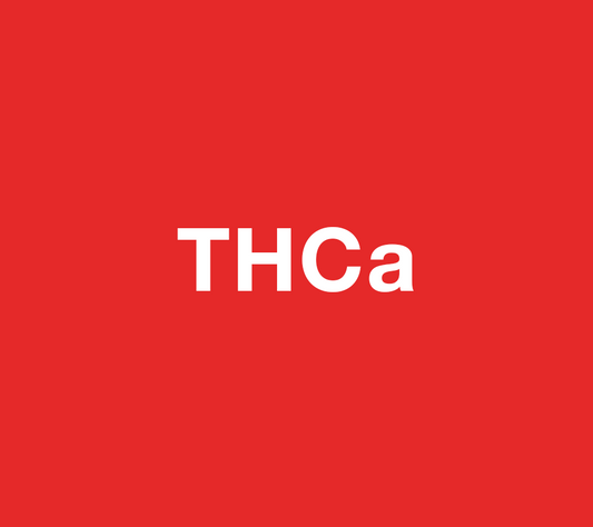 Does THCA Get You High? Everything You Need to Know